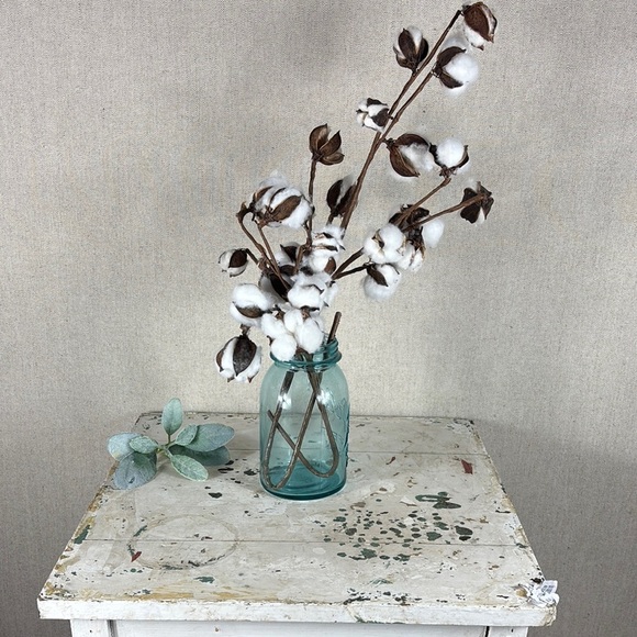 Other - Rustic Cotton Stems in Blue Glass Vase